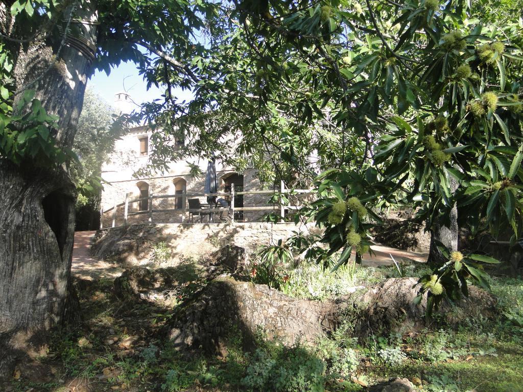 Finca La Colora Fuenteheridos Kültér fotó