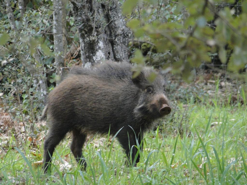 Finca La Colora Fuenteheridos Kültér fotó